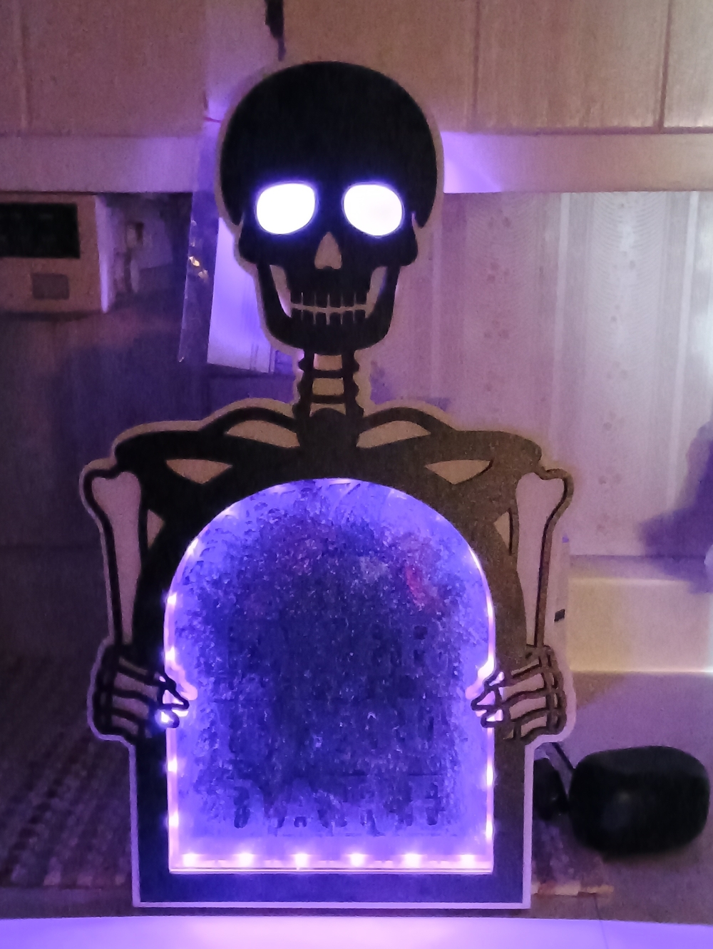 Cracker Barrel Exclusive- VIRAL LED Skeleton Mirror Enter If You Dare NWTS